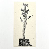 泉田之也「積層ぐい吞」 | implexus art gallery online shop