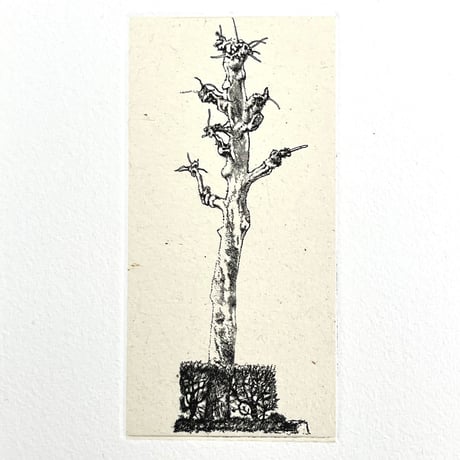 岩渕俊彦「S/T−4」