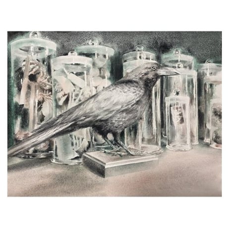 鈴木史帆「脱殻」