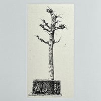 泉田之也 フリーカップ 美品】泉田之也 フリーカップ 器 - メルカリ