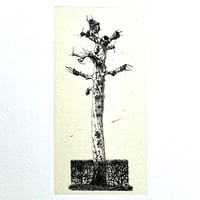 泉田之也「型押フリーカップ」№13 | implexus art gallery online