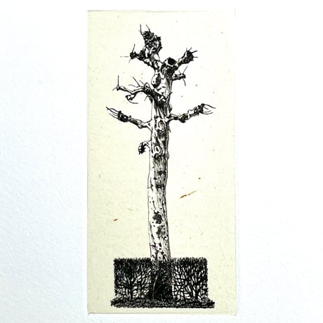 岩渕俊彦「S/T−9」