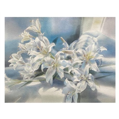 鈴木史帆「Lily」