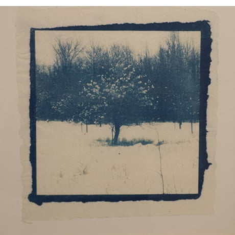 宮崎雅子「snow flower」