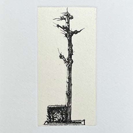 岩渕俊彦「S/T−1」