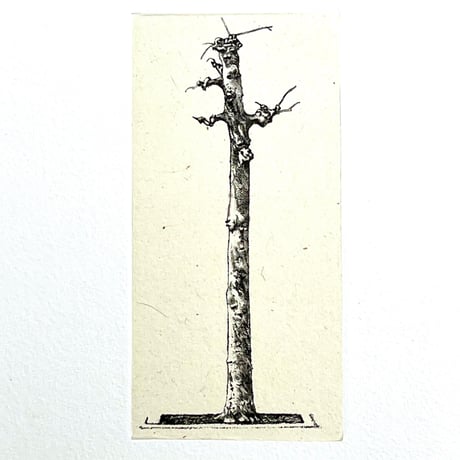 岩渕俊彦「S/T−8」