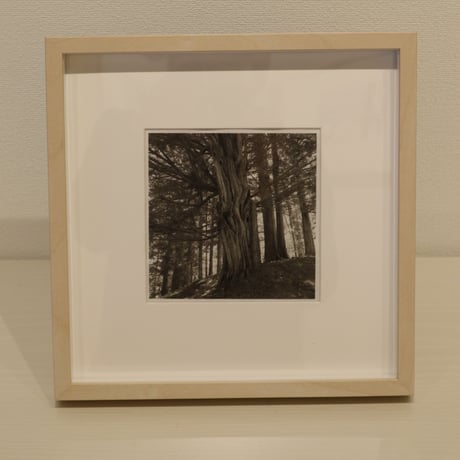 宮崎雅子「A piece of stone-木霊(こだま）」