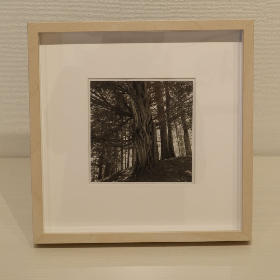 65b22c6835edb7003179f332