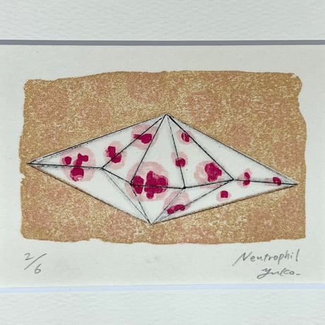 尾留川優子「Neutrophil」