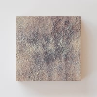 たんのそのこ「向こう側からの光」