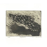 泉田之也「型押フリーカップ」 | implexus art gallery online shop