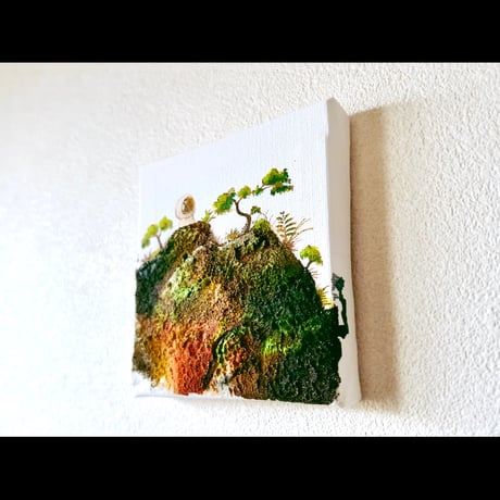 苔と盆