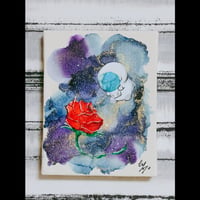 薔薇