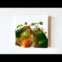 苔と盆