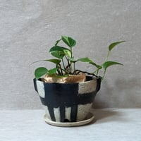 吉川千香子作 オブジェ、蓋物 CYー010 | Gallery hanakura