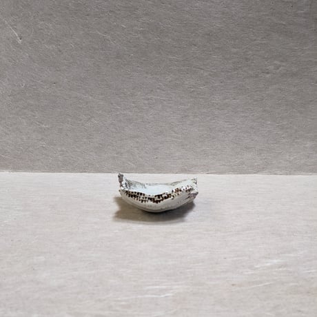中田篤 | STORES 中田篤 | STORES