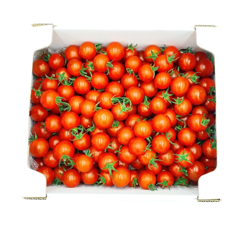完熟ミニトマト（1.5kg） | ヴェリタスSTORE
