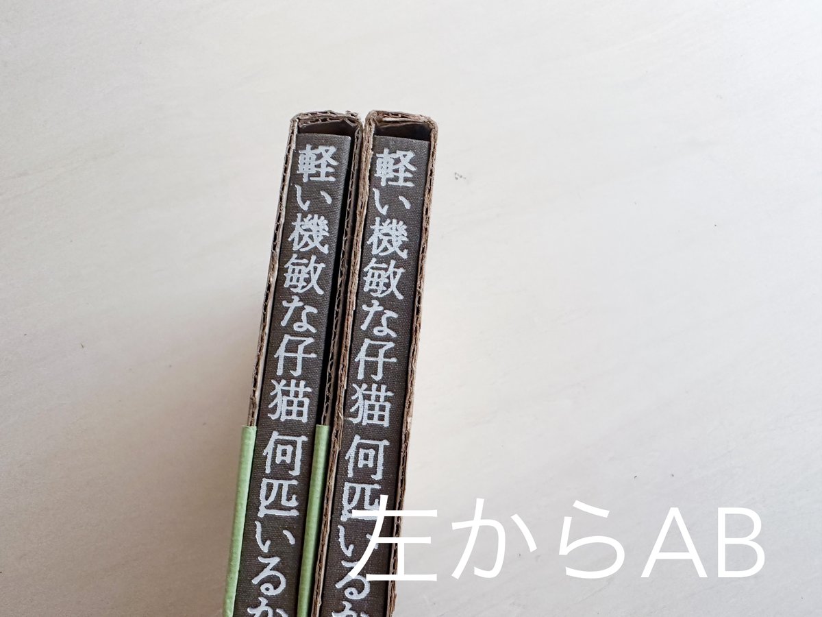 軽い機敏な仔猫何匹いるか 土屋耕一回文集 | good title books