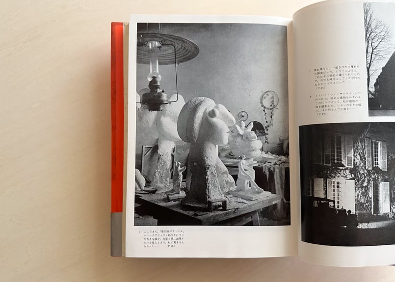 語るピカソ | good title books