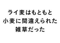 ライ麦はもともと小麦に間違えられた雑草だった