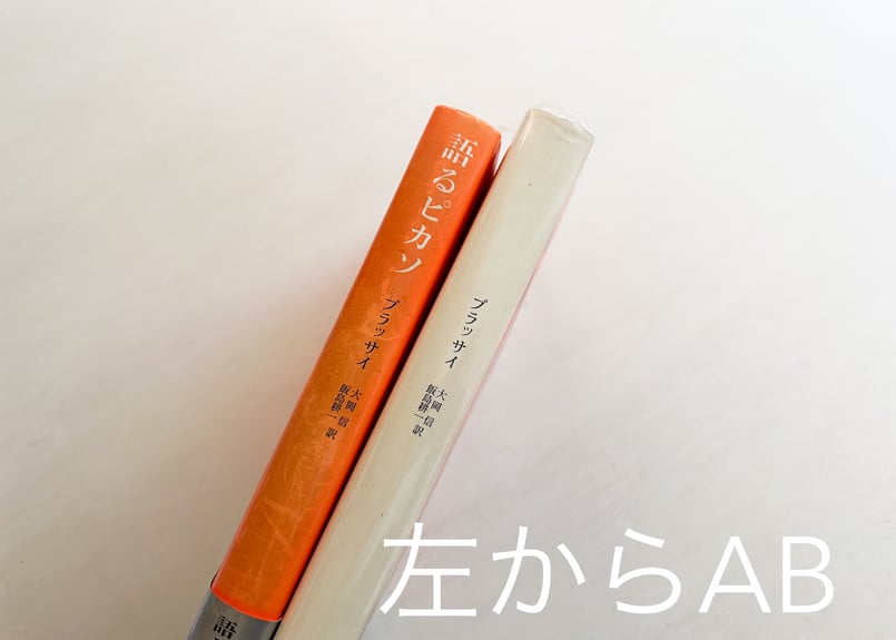 語るピカソ | good title books