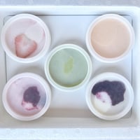 カップアイスクリーム　10個おまかせセット