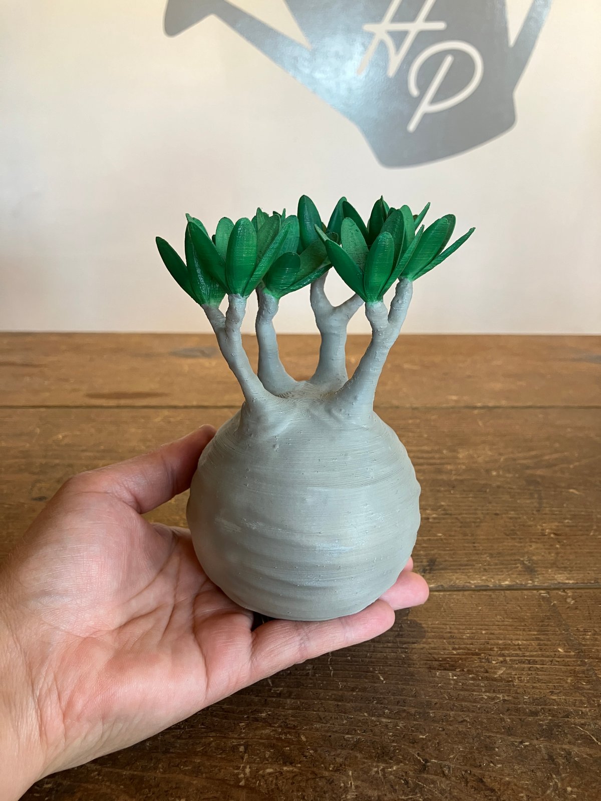 パキポディウム　グラキリス　アガベ　フィギュア fit=scale-down,w=1200