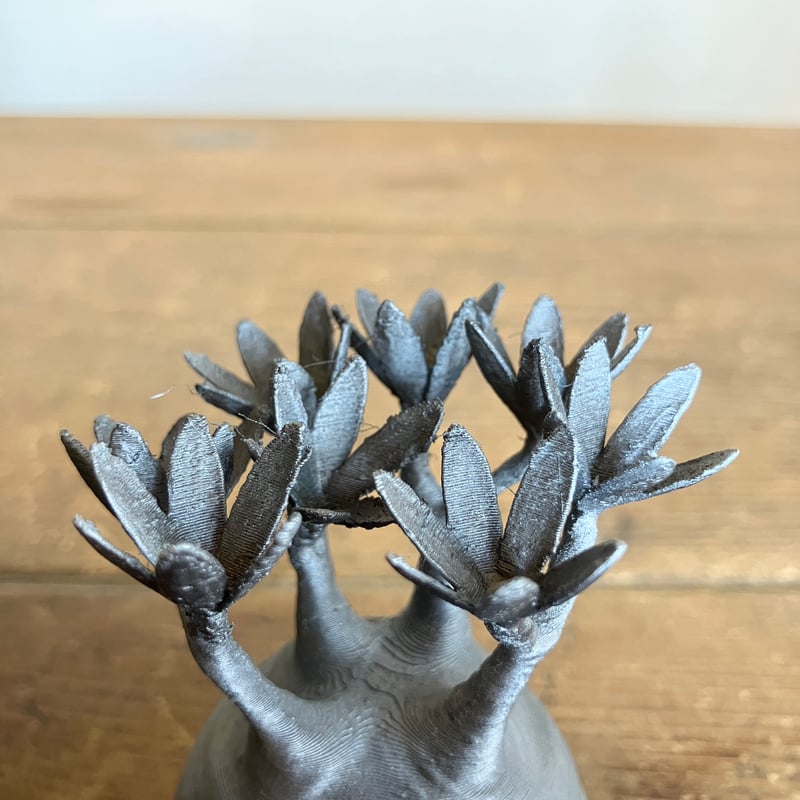 20：グラキリス フィギュアB 焼鉄色 Mサイズ 010 | Home&Plants