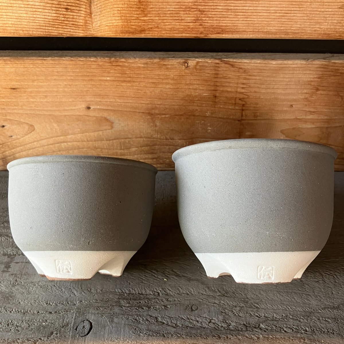 2359：市野伝市鉢 コウロ型 3.5寸 伝×Home&Plants | Home&Plants
