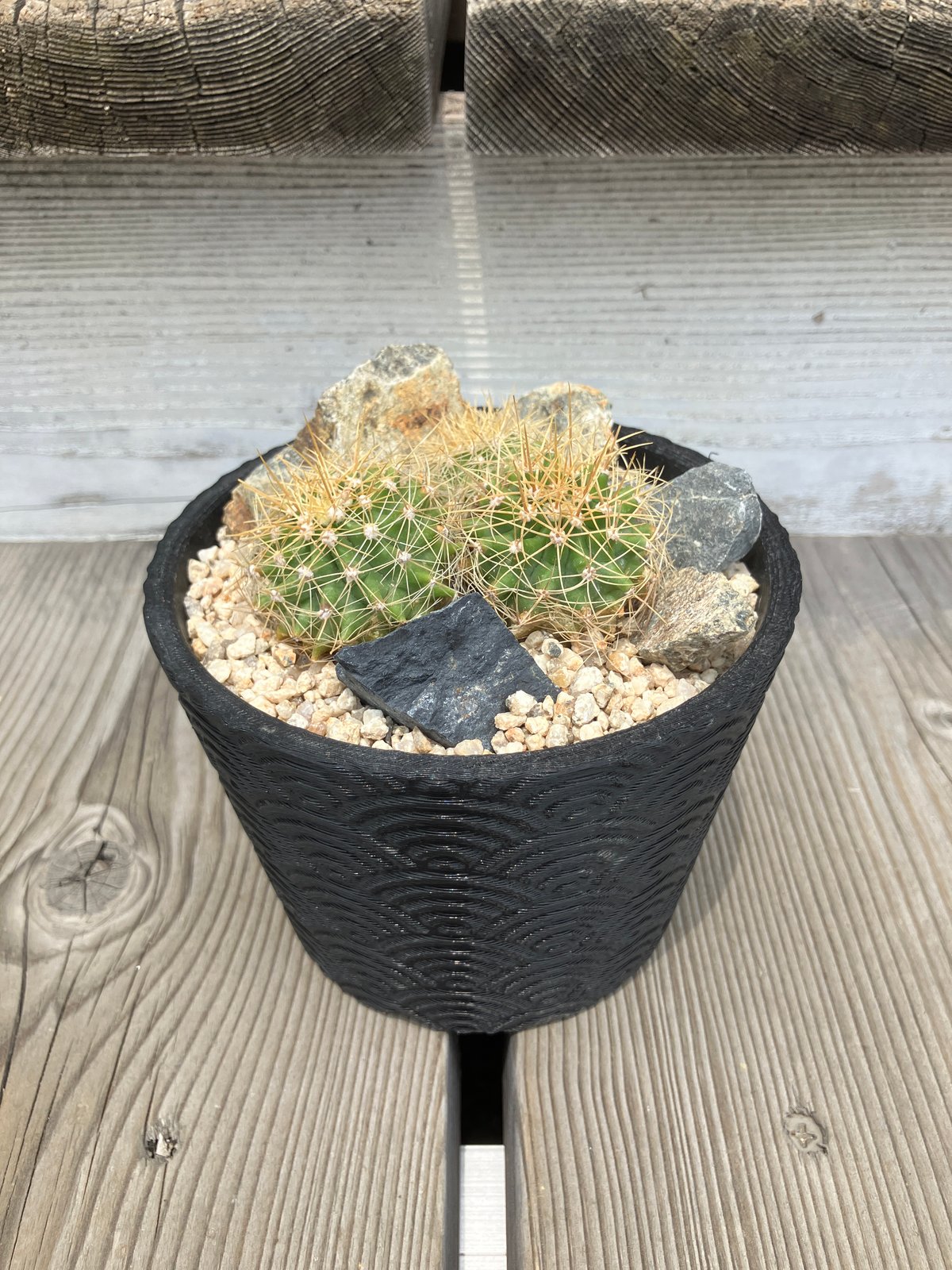 阿萬　鉢　デザートカモ　大サイズ fit=scale-down,w=1200