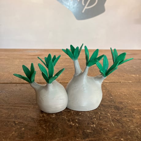 ビカクシカ　フィギュア 7d89a6c9075250348d18ee9832c0bc