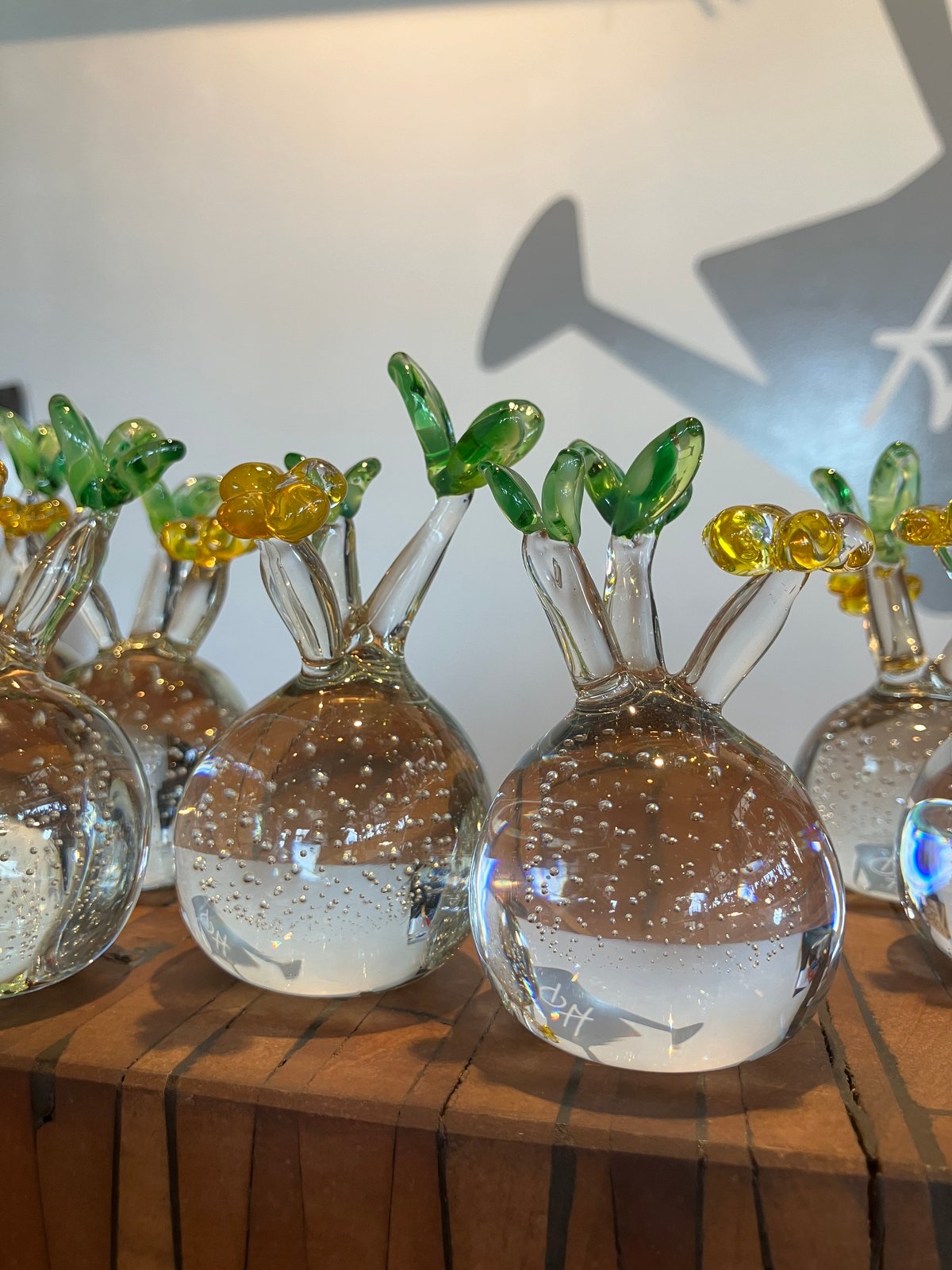 引取限定】ガラス温室 ガラスケース フラワーハウス ハイビスカス