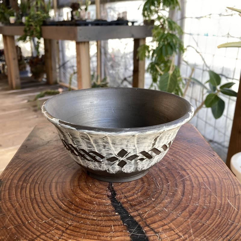 一弘正方鉢 お得なセット鉢 | 盆栽、盆栽書籍、盆栽鉢の通販│近代出版