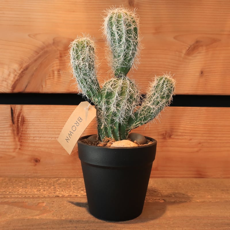 T.N  フェイクサボテン 373：ミニサボテン フェイク | Home&Plants