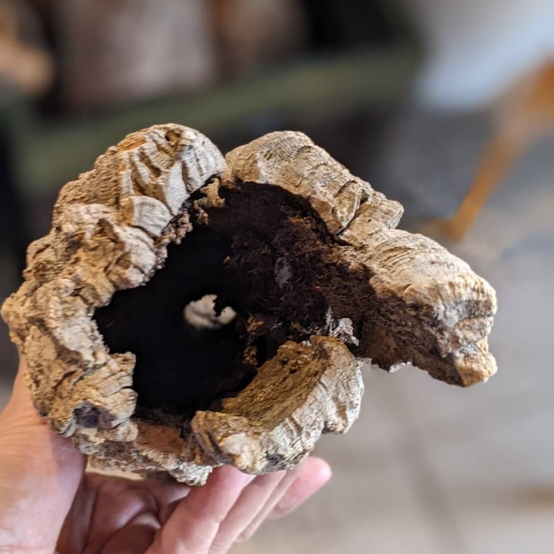 筒コルク HPN⑤ | Home&Plants