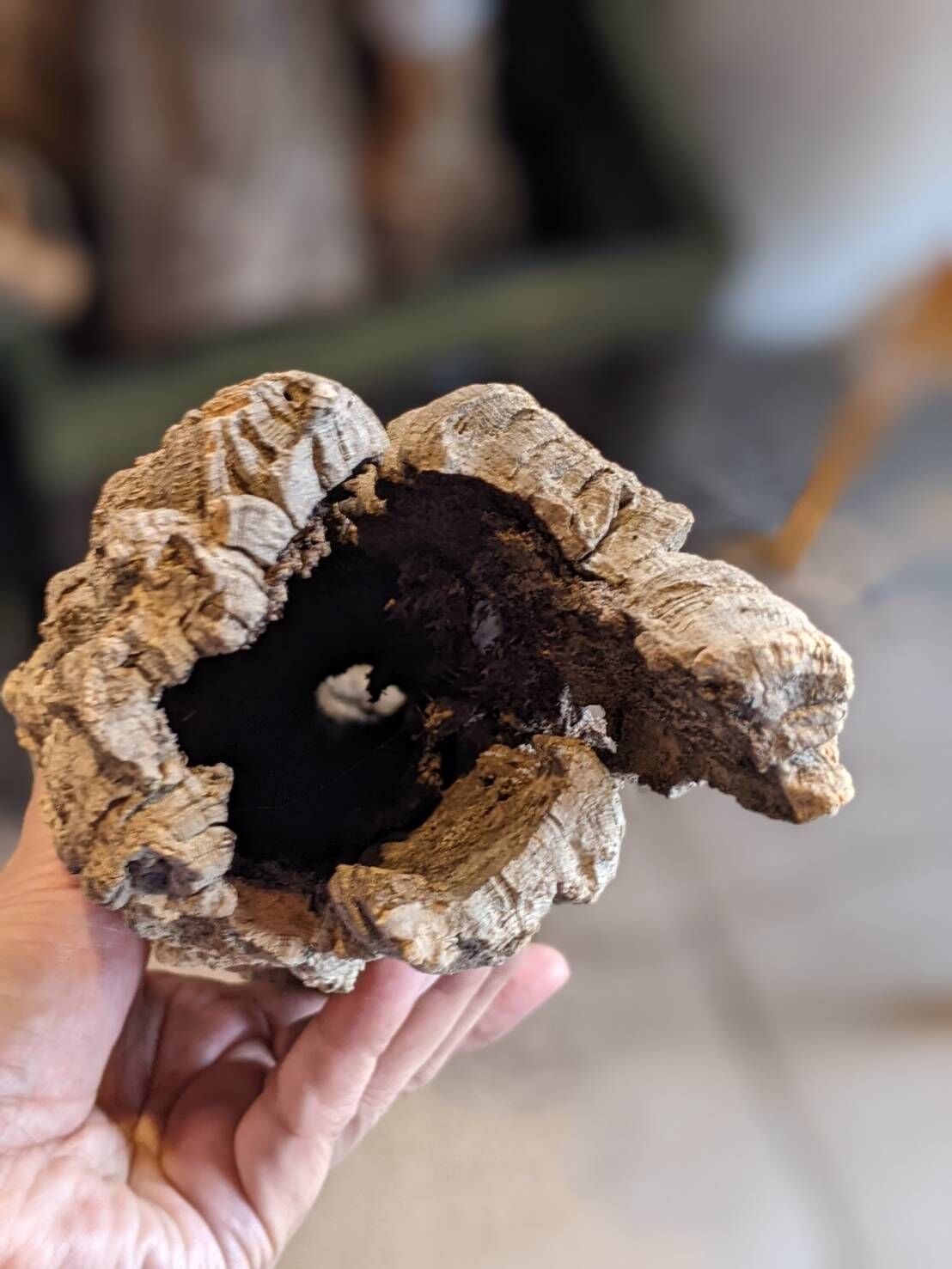 筒コルク6個セット 筒コルク HPN⑤ | Home&Plants