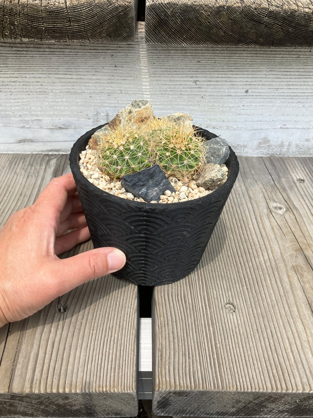 ダルジェンタ　シルバーサグアロサボテンの彫刻 銀サグアロサボテン彫刻 | DArgenta | Unique Gifts | Home Decor