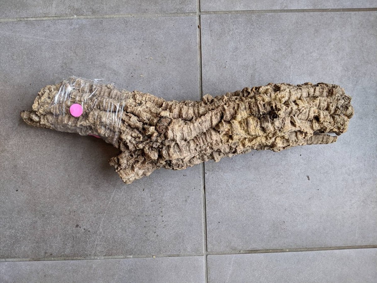 筒コルク HPN⑤ | Home&Plants