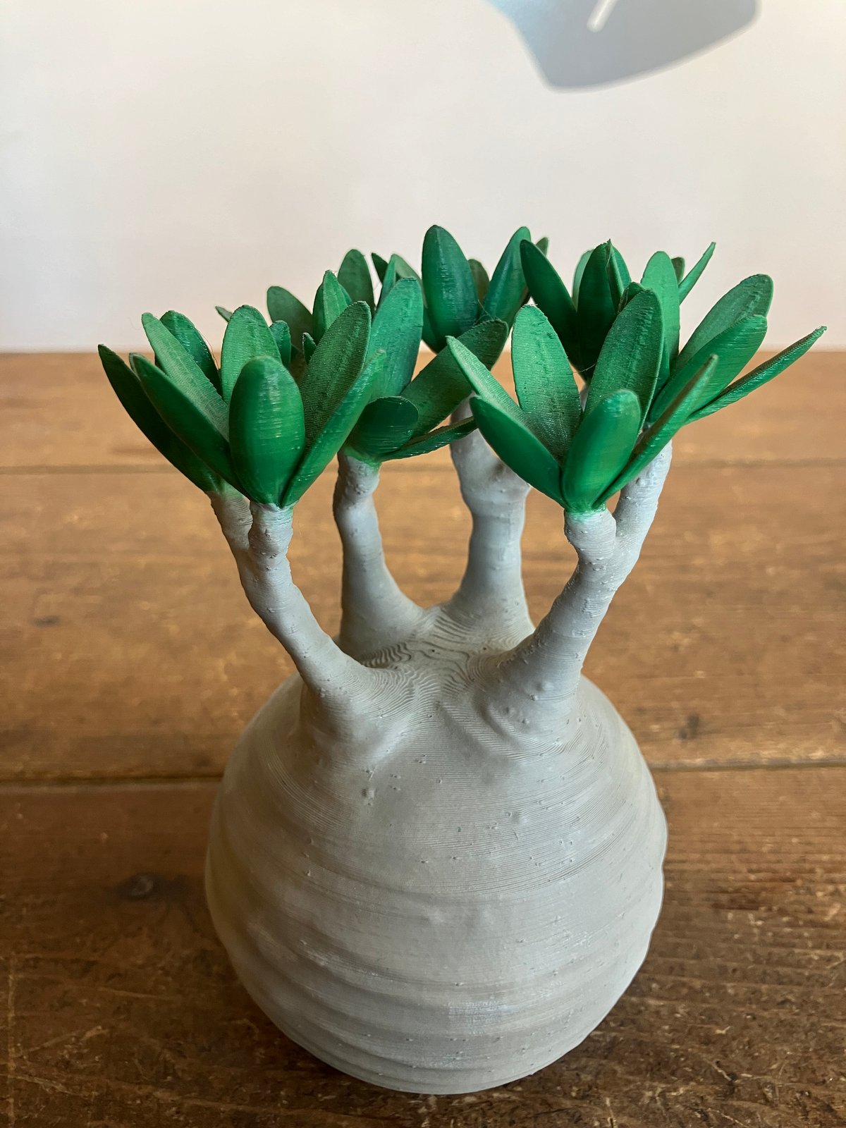 17：グラキリス フィギュアB フルカラー Mサイズ 010 | Home&Plants