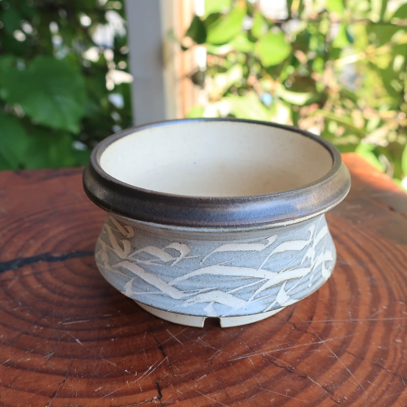 kokumon 刻紋鉢　鉢　アガベ 刻紋鉢-kokumon- 013 | Home&Plants
