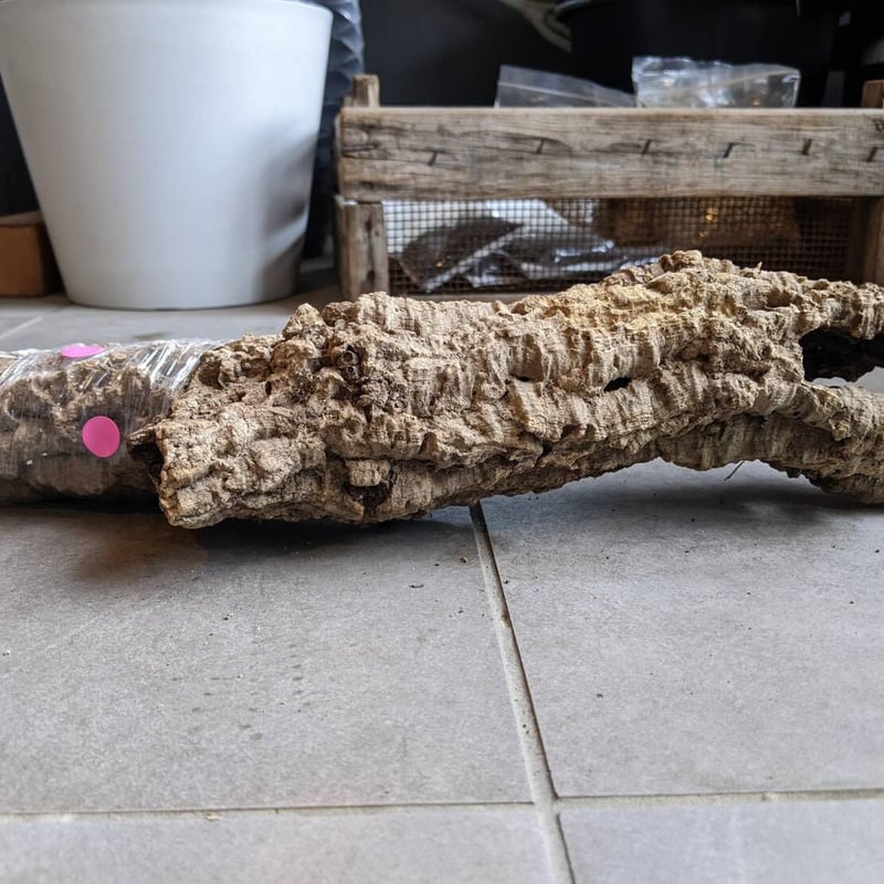 筒コルク HPN⑤ | Home&Plants