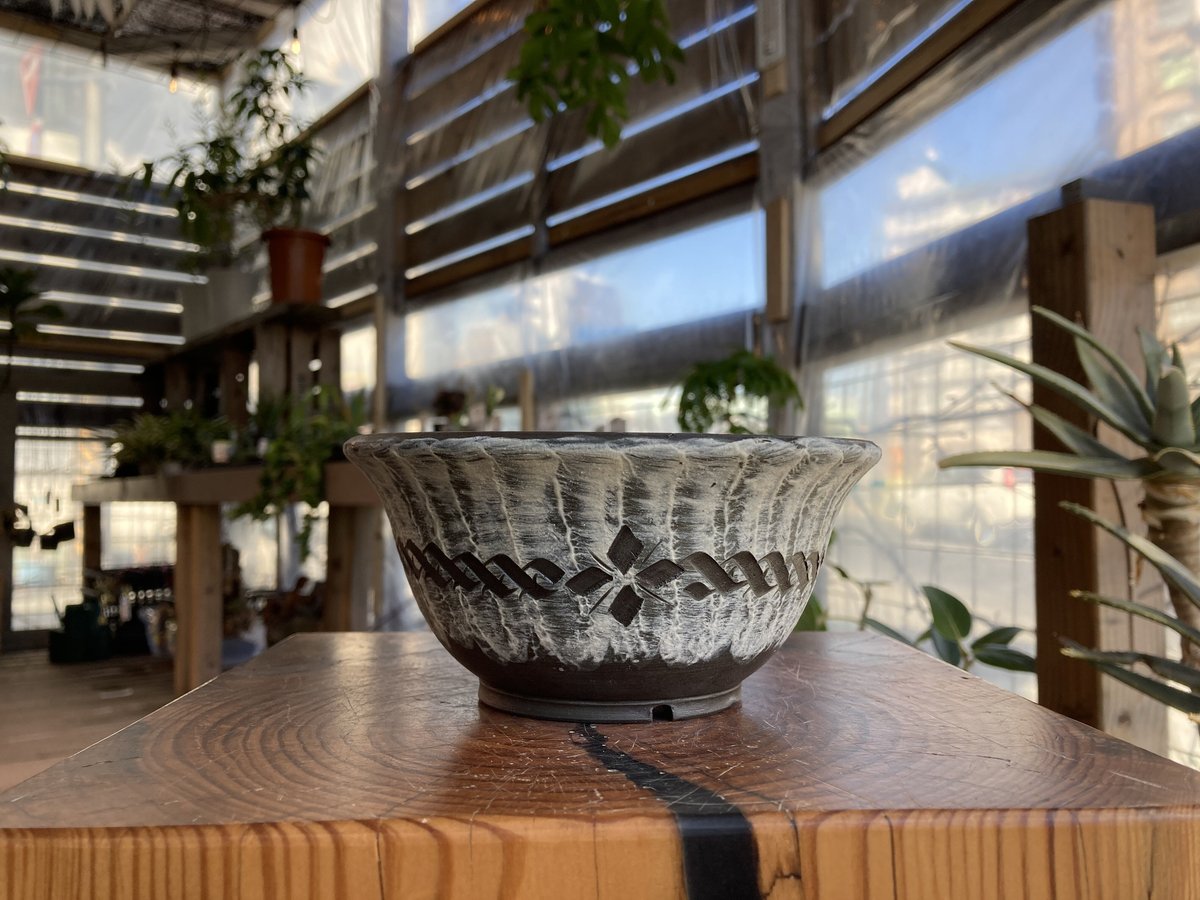 1128：刻紋鉢-kokumon- 9900-058 | Home&Plants