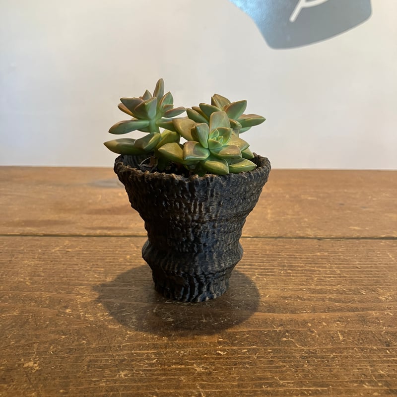 74：岩鉢 XS LOBINDON | Home&Plants