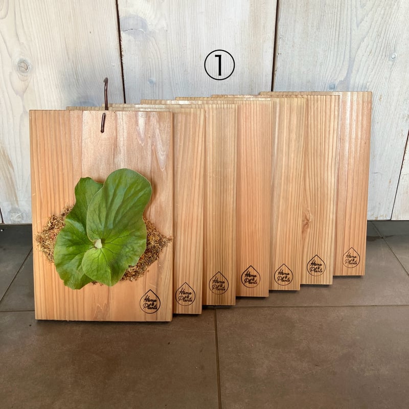 2181：①②③：杉板 | Home&Plants