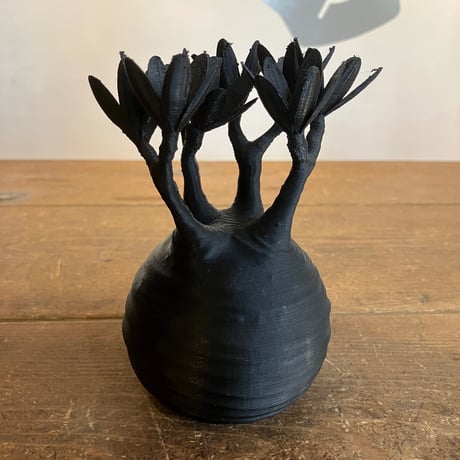 18：グラキリス フィギュアB ブラック Mサイズ 010 | Home&Plants