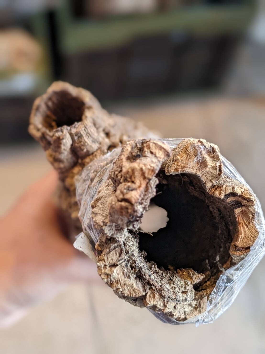 筒コルク HPN⑤ | Home&Plants