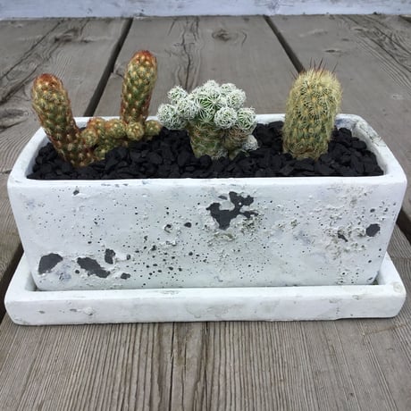 Home&Plants