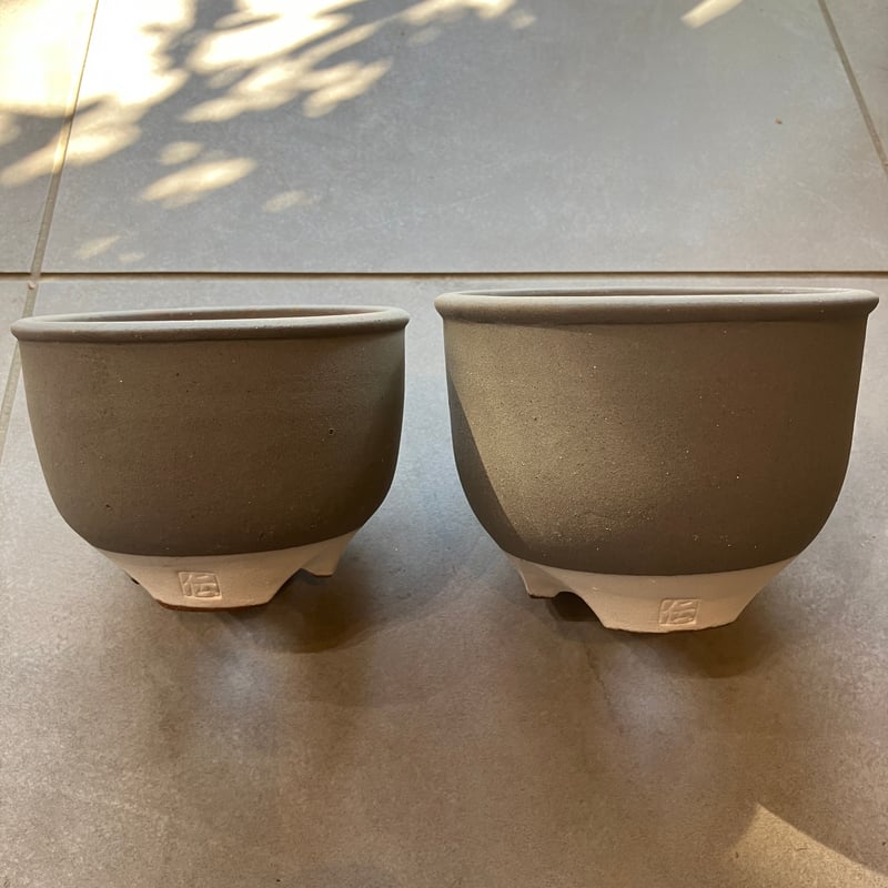 2359：市野伝市鉢 コウロ型 3.5寸 伝×Home&Plants | Home&Plants