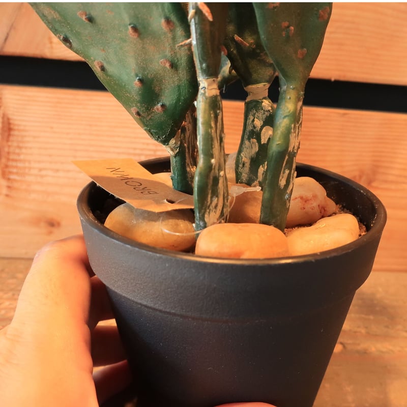 374：ウチワサボテン フェイク | Home&Plants