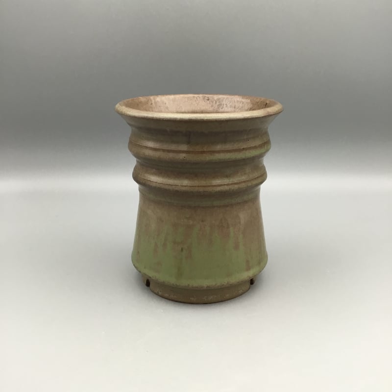 保田修作 作家鉢 塊根植物 保田修作 | STORES